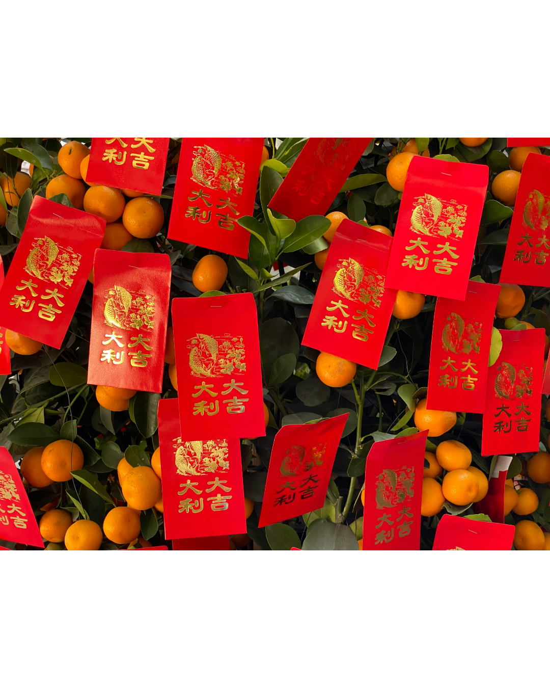 2026大扫除吉日与挂红彩吉日（丙午马年）