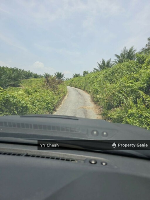 Kuala Kangsar Perak 7.7 Acres Freehold Agri Land For Sale, Well-maintained Orchard