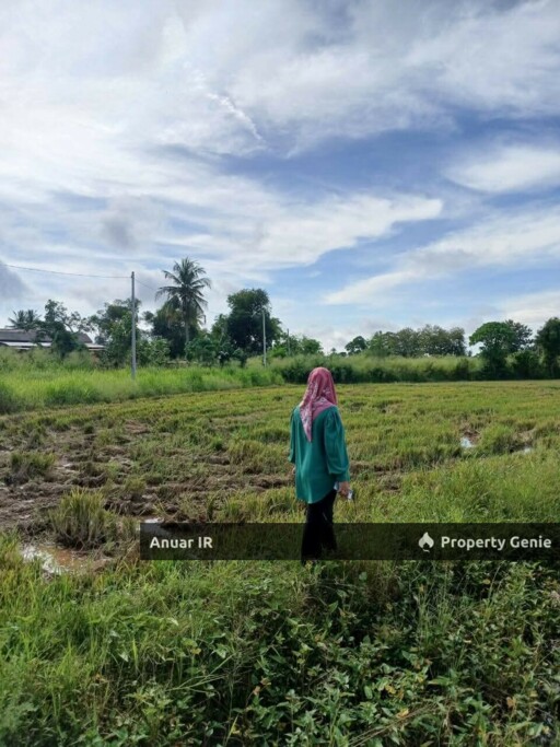 Tanah Tepi Jalan Utama, Kampung Darat Beseri