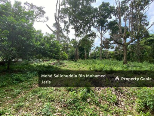 [FREEHOLD] Tanah Pertanian Mukim Beserah