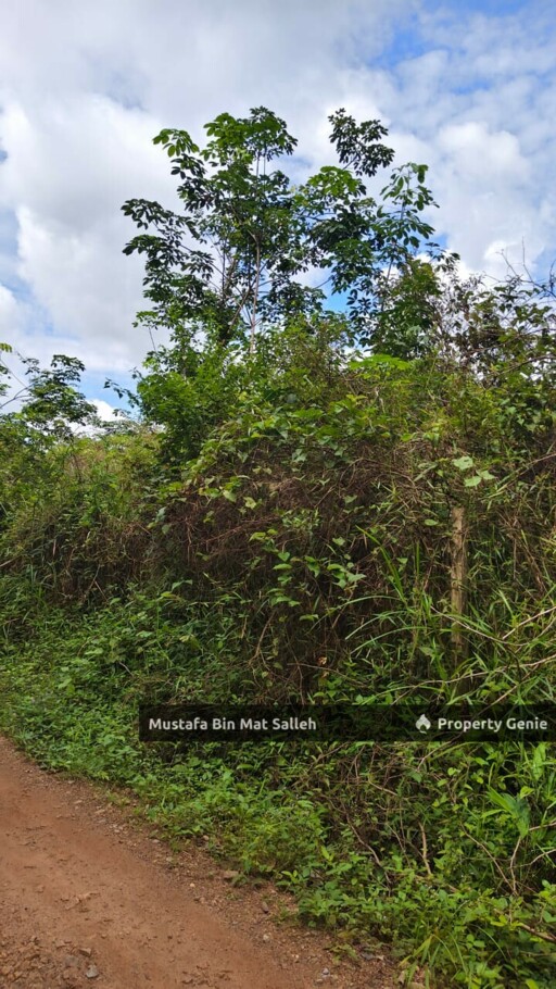 [Kebun Getah] Bukit Ular, Padang Terap, Kedah
