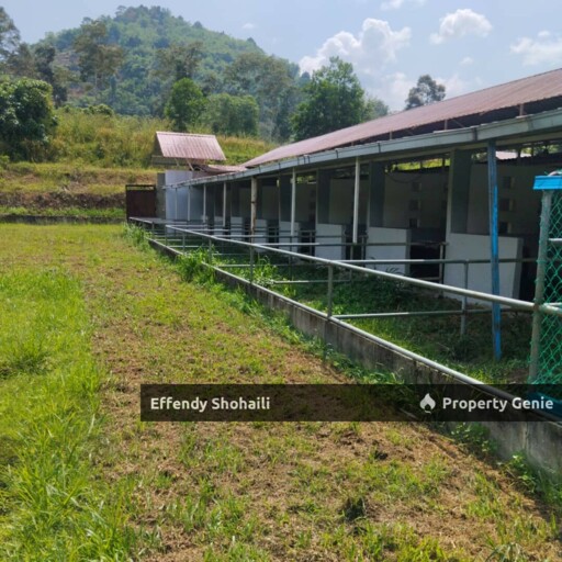 JELEBU KENABOI KG CHENNAH AGRICULTURAL LAND