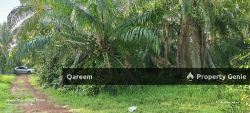 1 Ekar Ladang Sawit Kampung Api Api Bukit Rotan Kuala Selangor