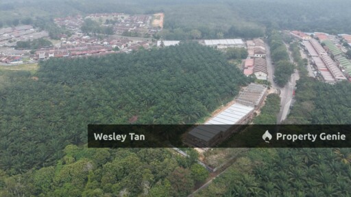 Bemban Freehold Agricultural Land With Access Road First Layer