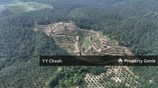 Sg Siput Perak 10 Acres Agri Land For Sale Durian & Orchard 10 Acres Freehold