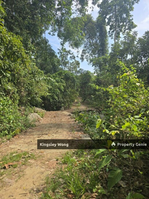 Kati, Kuala Kangsar, Perak Freehold 3.03 acres Agricultural Land With Mountain Water