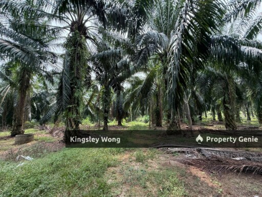 Sungai Siput Agriculture Land 3.2 Acres Flat Land Industrial Zone