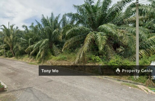 WTS RESIDENTIAL ZONING LAND IN ALOR GAJAH MELAKA.