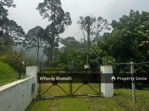 KUALA KANGSAR DURIAN ORCHARD WITH BUNGALOW