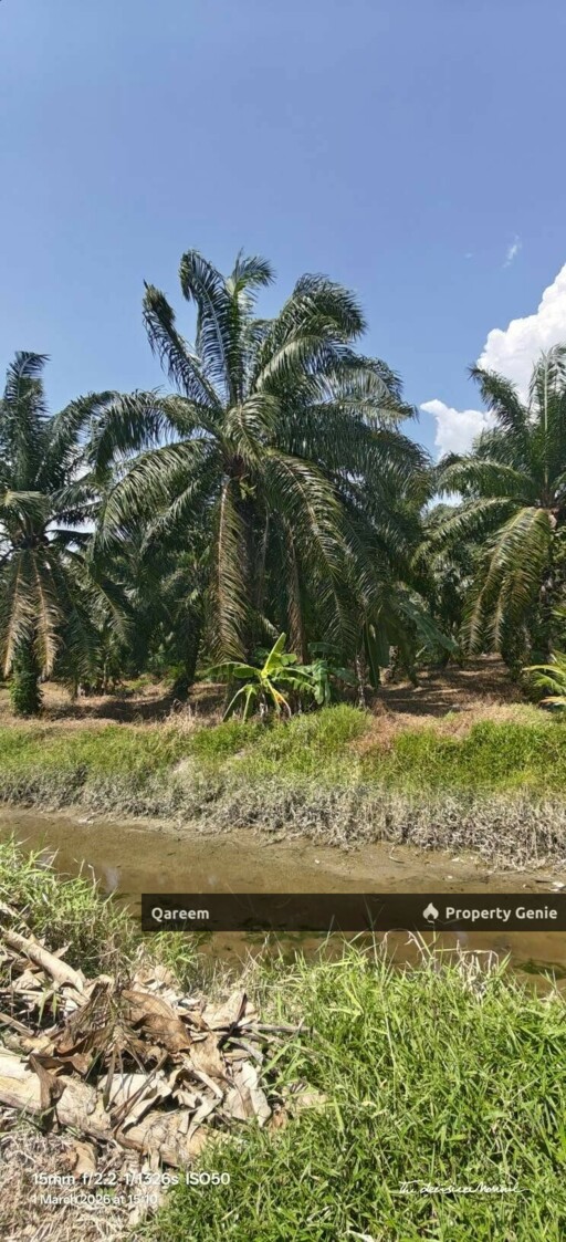 1 Ekar Tanah Kampung Sungai Burong Sekinchan Kuala Selangor