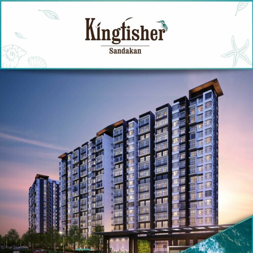 Kingfisher Sandakan