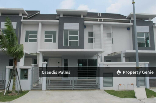 Grandis Palms