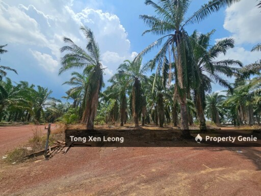 Jasin FREEHOLD Agriculture Land For Sale !!