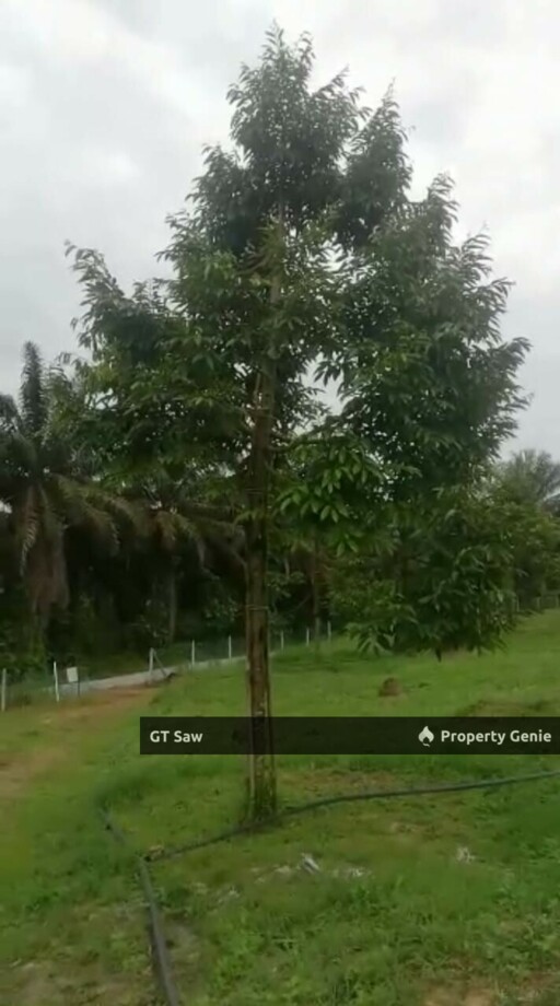 2.3 Acres Land For Sales, Less Than 1.30 Hour Drive from KL!