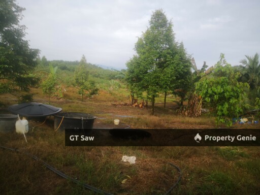 2.3 Acres Land For Sales, Less than 1.30 hour drive from KL!