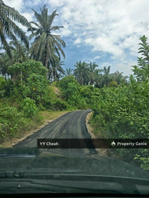 Sg Siput Perak 10 Acres Agri Land For Sale Durian & Orchard 10 Acres Freehold