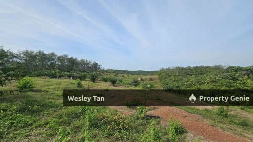 Durian Tunggal Below Value Oil Palm Approx 6.5acres land Freehold Road