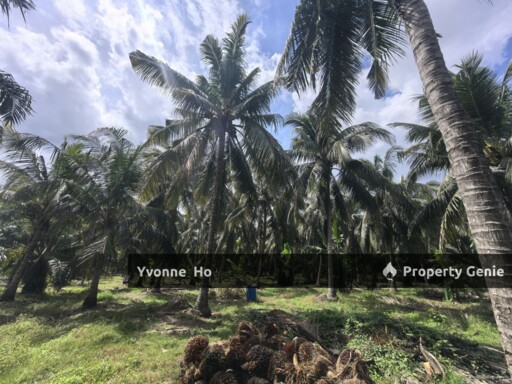 Freehold Agricultural Land Sabak Bernam Kampung Batu 38