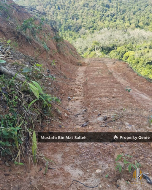Tanah Kebun Getah Klon PB 350 Lubok Datu Pokok Sena Kedah