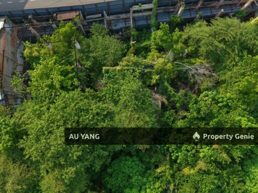 Prime Land For Sale Georgetown