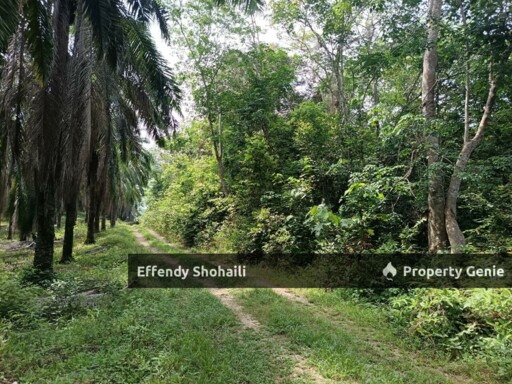 TEMERLOH KERDAU DEVELOPMENT LAND