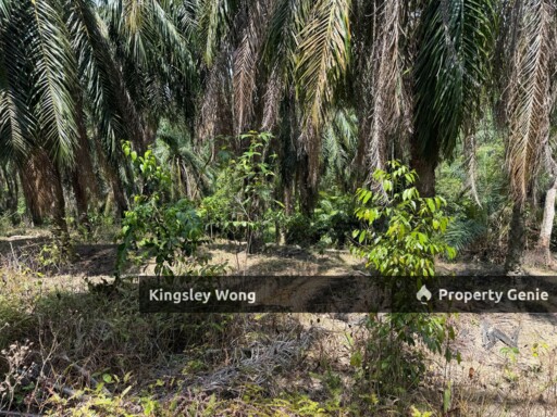 Sg Siput Perak Freehold Oil palm Agricultural land 3.5 acres  Slope land