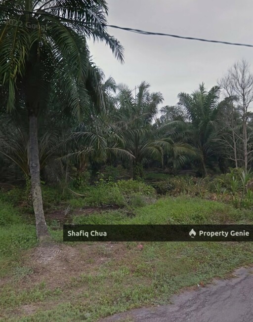 Agriculture Land Within Industrial Zoning Sungei Rambai, Teluk Panglima Garang For Sale