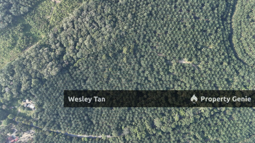 Jasin Jln Tehel Freehold Mainroad 9.9acres Matured Palm Oil Agri Land