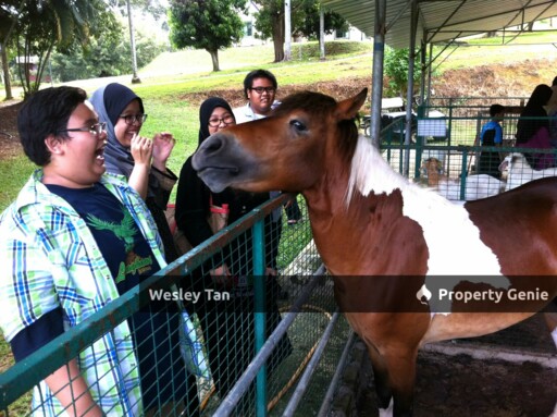 Agro Resort For Rent in Melaka
