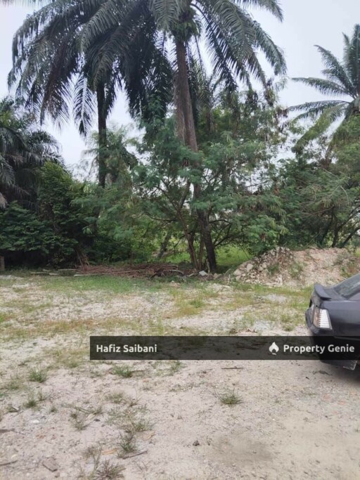 Tanah Pertanian Kampung Budiman Meru Klang