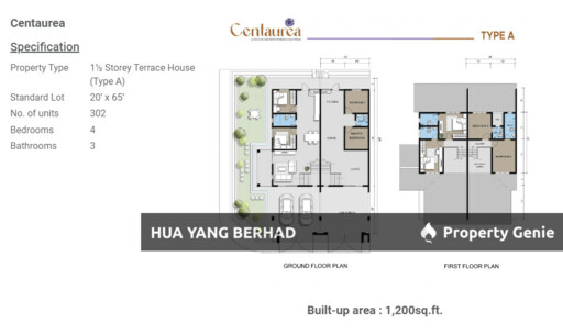 Centaurea Seri Iskandar
