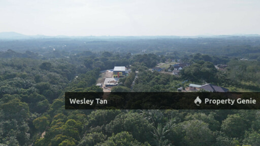 Jasin Jln Tehel Freehold Mainroad 9.9acres Matured Palm Oil Agri Land