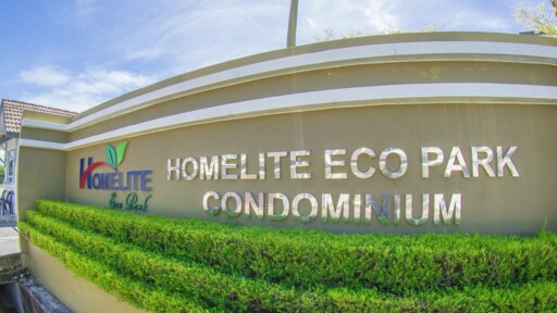 Homelite Eco Park
