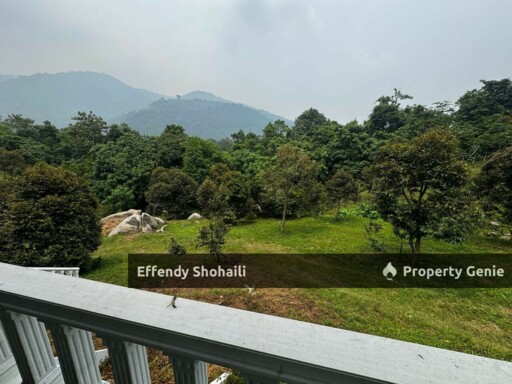 KUALA KANGSAR DURIAN ORCHARD WITH BUNGALOW