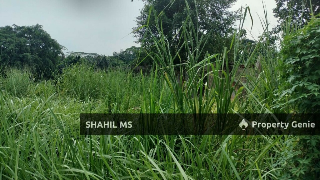 sp0098 || JOHOR BAHARU || TANAH LOT KEDIAMAN || INTERNATIONAL LOT || FREEHOLD || 2120 SQFT || RM1,300,000.00