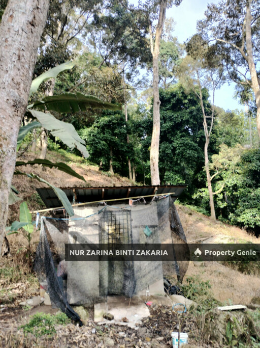 Dusun/Kebun/Orchard Durian untuk Di Jual, Kampung Jalan Bharu, Balik Pulau, Pulau Pinang