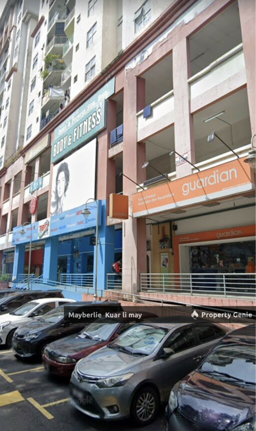 Vista Magna Shop For Sale