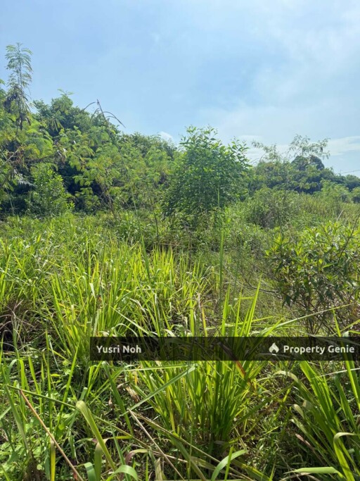 Residential Land Kota Warisan , Sepang For Sale