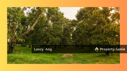 Main Road, Durian Form, Raub, Pahang