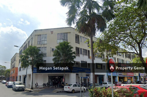 Megan Setapak