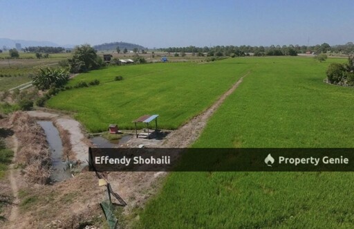 SEBERANG PERAI TENGAH PENANG AGRICULTURAL LAND