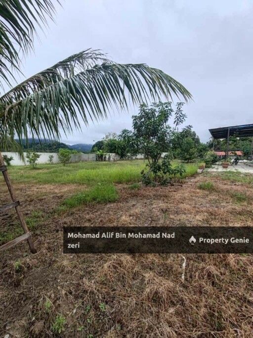 Rumah Banglo Atas Tanah 1 Relong + Ladang Ternakan | Fully Furnished