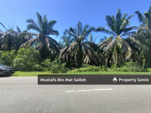 [FREEHOLD] Kampung Sungai Badak, Sedim, Kulim