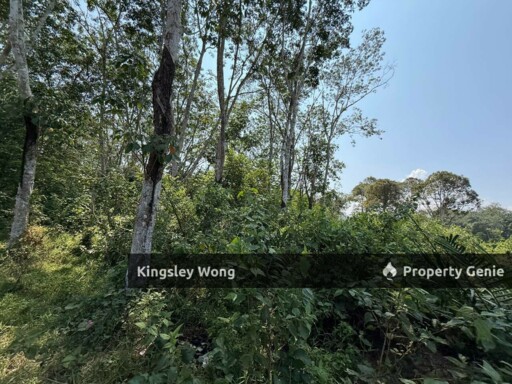 Sungai Siput RE road Freehold 11 Acres Agricultural Land Suitable Poultry farm