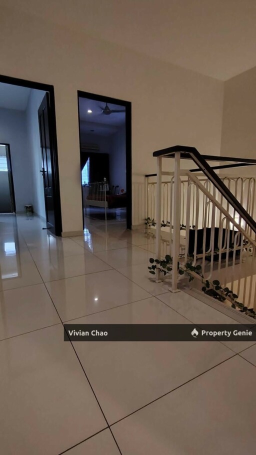 Double Storey Botani Bougainvillea for Sale