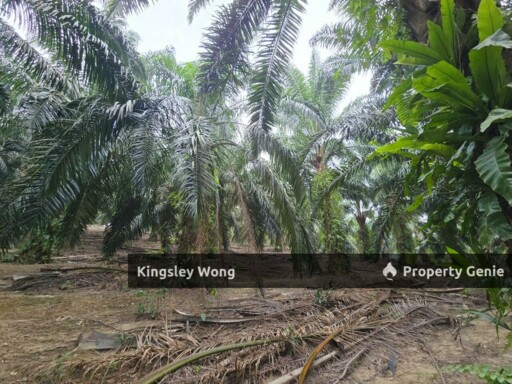 Kuala Kangsar Freehold 1.3acre Agricultural Land with Reserved Road