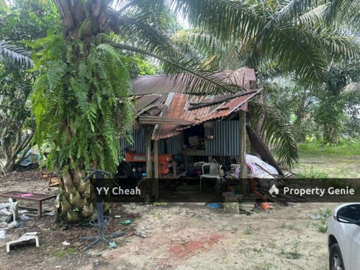 Jeram Agri Land, Perak - Freehold - Palm oil + bired nest, normal car can go