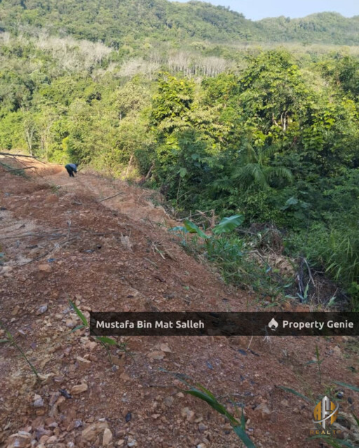 Tanah Kebun Getah Klon PB 350 Lubok Datu Pokok Sena Kedah