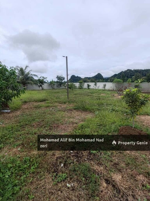 Rumah Banglo Atas Tanah 1 Relong + Ladang Ternakan | Fully Furnished