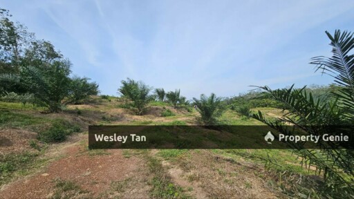 Durian Tunggal Below Value Oil Palm Approx 6.5acres land Freehold Road